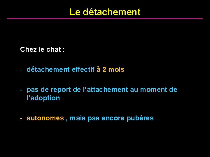 Le détachement Chez le chat : - détachement effectif à 2 mois - pas