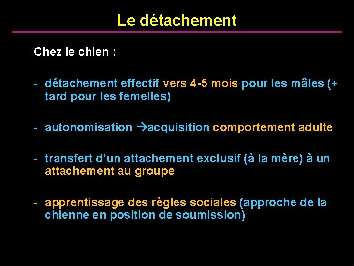 Le détachement Chez le chien : - détachement effectif vers 4 -5 mois pour