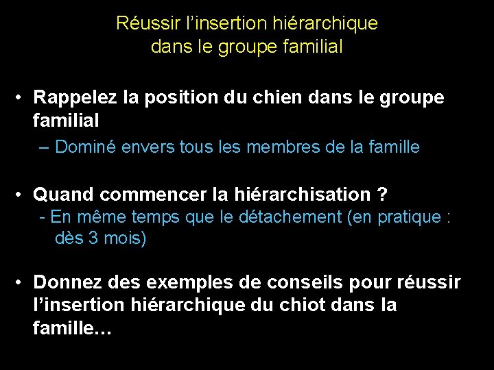 Réussir l’insertion hiérarchique dans le groupe familial • Rappelez la position du chien dans