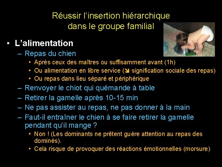 Réussir l’insertion hiérarchique dans le groupe familial • L’alimentation – Repas du chien •