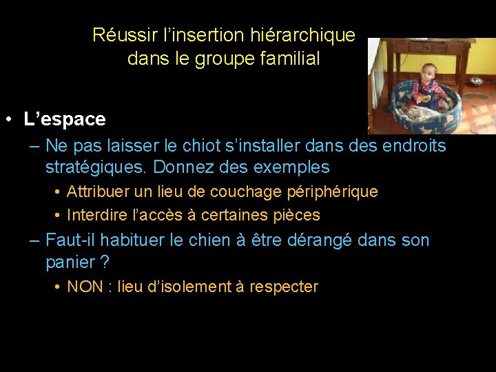 Réussir l’insertion hiérarchique dans le groupe familial • L’espace – Ne pas laisser le