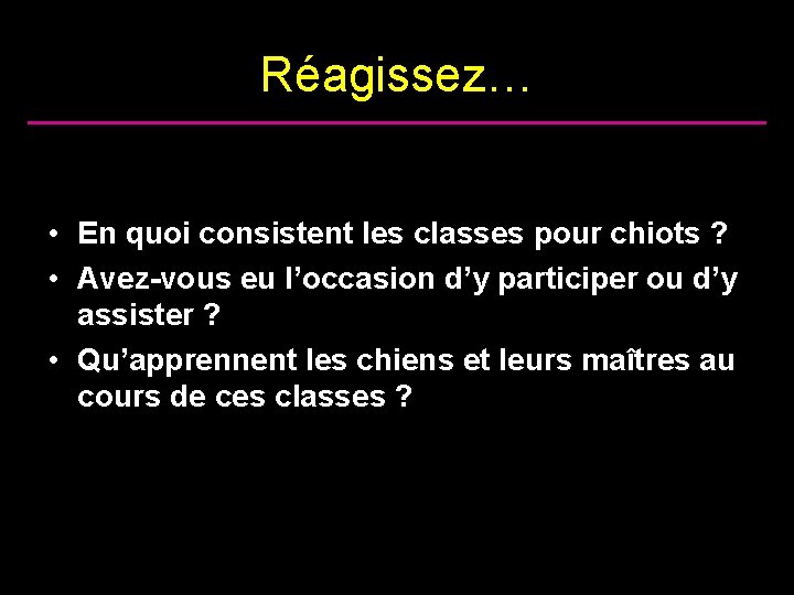 Réagissez… • En quoi consistent les classes pour chiots ? • Avez-vous eu l’occasion