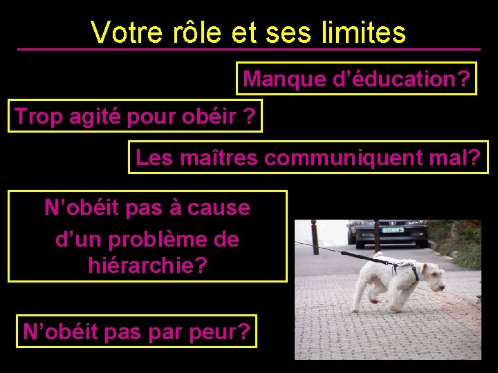 Votre rôle et ses limites Manque d’éducation? Trop agité pour obéir ? Les maîtres