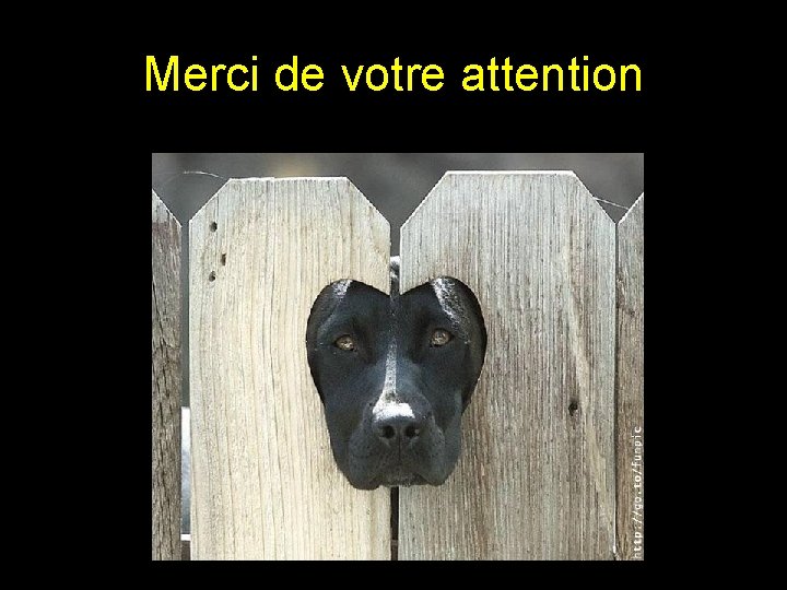 Merci de votre attention 