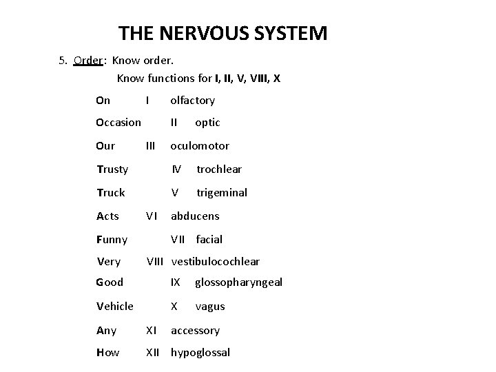 THE NERVOUS SYSTEM 5. Order: Know order. Know functions for I, II, V, VIII,