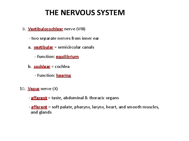 THE NERVOUS SYSTEM 9. Vestibulocochlear nerve (VIII) - two separate nerves from inner ear