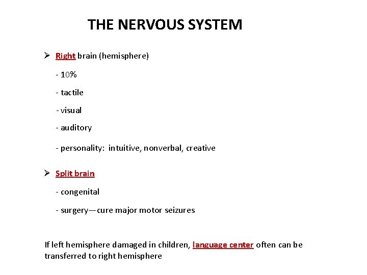 THE NERVOUS SYSTEM Ø Right brain (hemisphere) - 10% - tactile - visual -