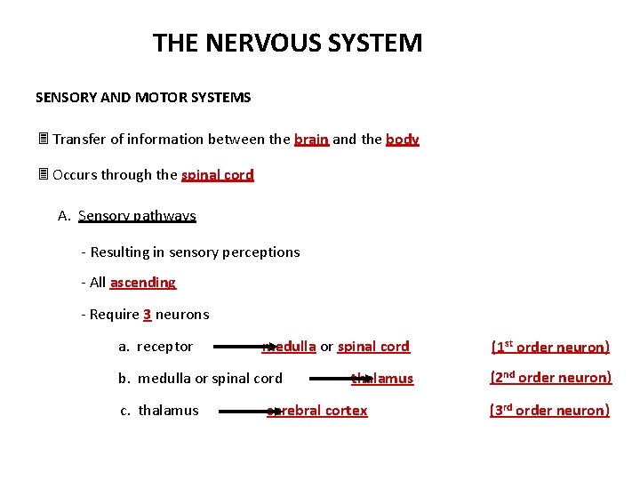 THE NERVOUS SYSTEM SENSORY AND MOTOR SYSTEMS Transfer of information between the brain and