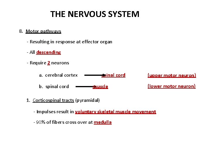 THE NERVOUS SYSTEM B. Motor pathways - Resulting in response at effector organ -