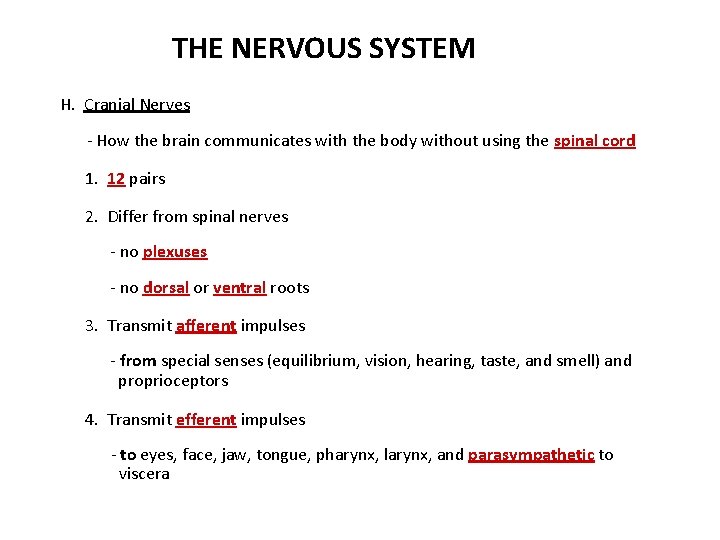 THE NERVOUS SYSTEM H. Cranial Nerves - How the brain communicates with the body