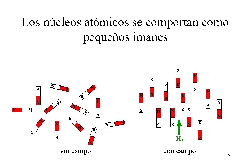 Los núcleos atómicos se comportan como pequeños imanes sin campo con campo 2 