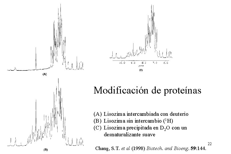 Modificación de proteínas (A) Lisozima intercambiada con deuterio (B) Lisozima sin intercambio (1 H)