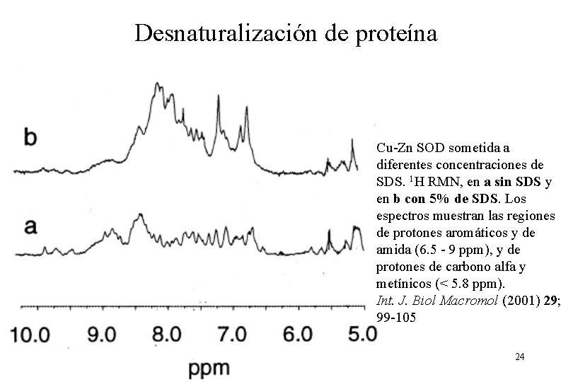 Desnaturalización de proteína Cu-Zn SOD sometida a diferentes concentraciones de SDS. 1 H RMN,