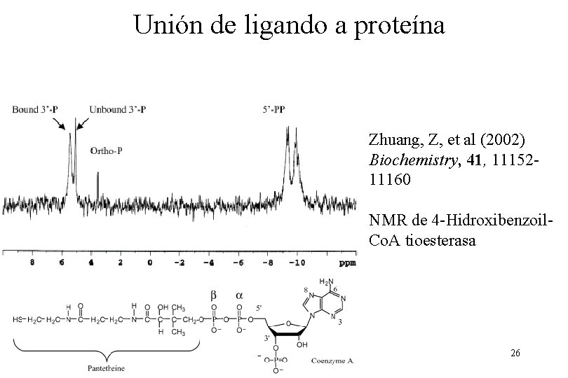 Unión de ligando a proteína Zhuang, Z, et al (2002) Biochemistry, 41, 1115211160 NMR