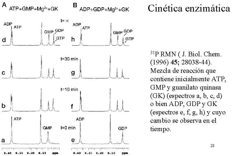Cinética enzimática 31 P RMN ( J. Biol. Chem. (1996) 45; 28038 -44). Mezcla