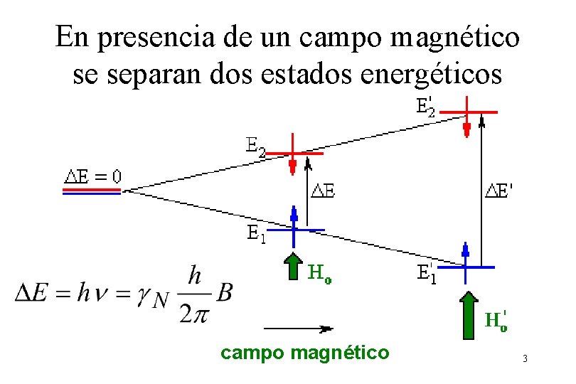 En presencia de un campo magnético se separan dos estados energéticos campo magnético 3