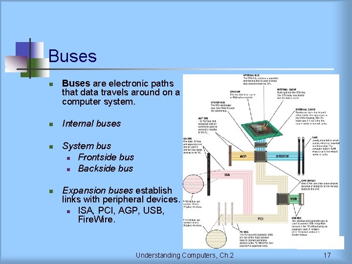 Buses n n Buses are electronic paths that data travels around on a computer