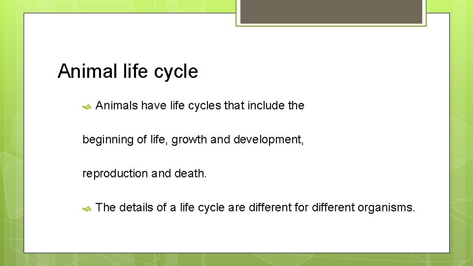 Animal life cycle Animals have life cycles that include the beginning of life, growth