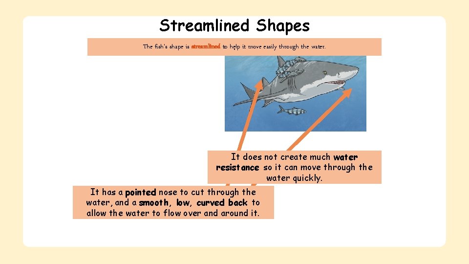 Streamlined Shapes The fish’s shape is streamlined to help. it move easily through the
