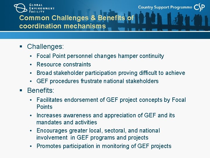 Common Challenges & Benefits of coordination mechanisms § Challenges: • • Focal Point personnel