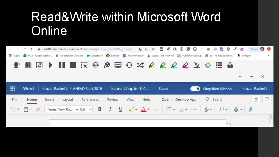 Read&Write within Microsoft Word Online 