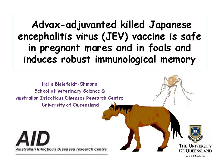 Advax-adjuvanted killed Japanese encephalitis virus (JEV) vaccine is safe in pregnant mares and in