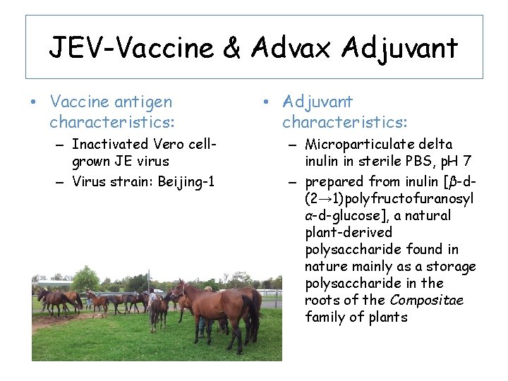 JEV-Vaccine & Advax Adjuvant • Vaccine antigen characteristics: – Inactivated Vero cellgrown JE virus