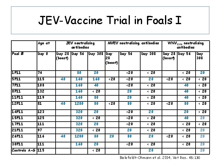 JEV-Vaccine Trial in Foals I Age at Foal # Day 0 1 F 11