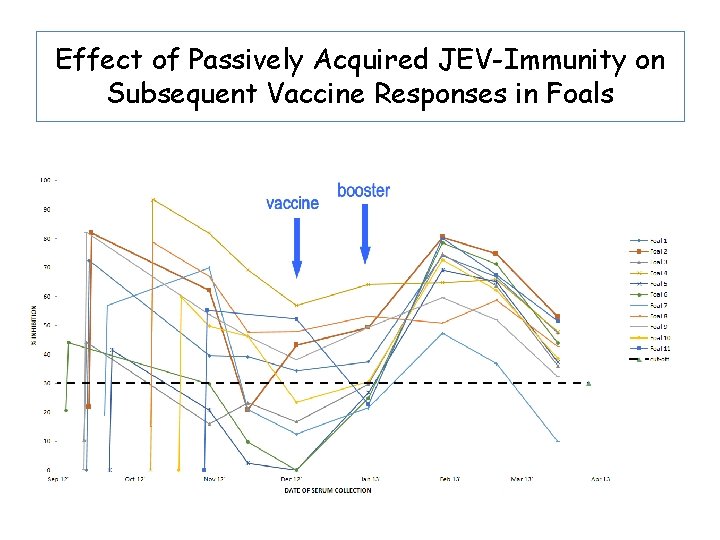 Effect of Passively Acquired JEV-Immunity on Subsequent Vaccine Responses in Foals 