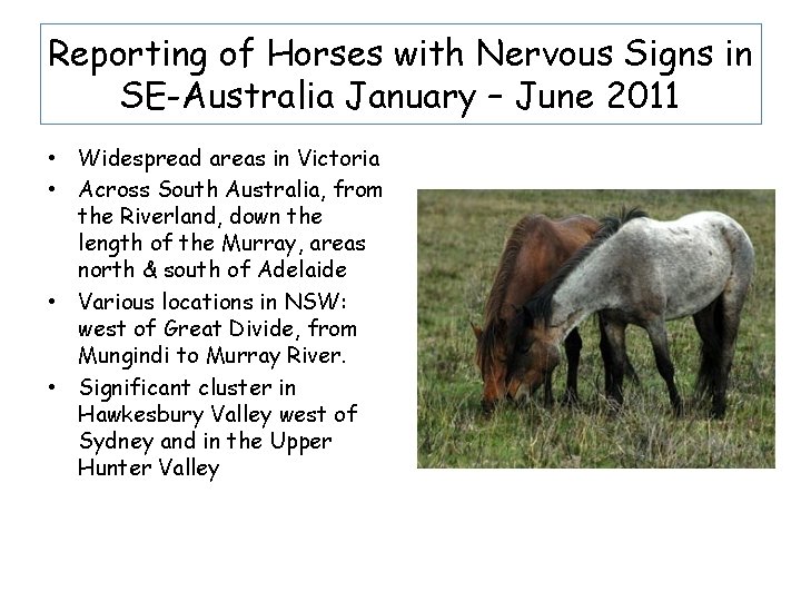 Reporting of Horses with Nervous Signs in SE-Australia January – June 2011 • Widespread