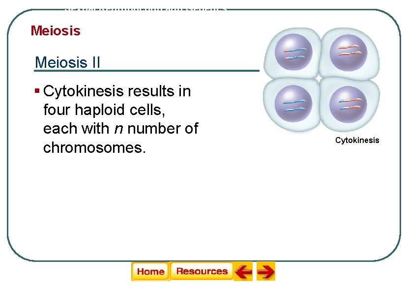 Sexual Reproduction and Genetics Meiosis II § Cytokinesis results in four haploid cells, each Sexual Reproduction and Genetics Meiosis II § Cytokinesis results in four haploid cells, each