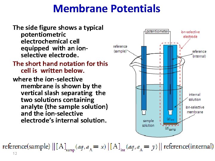 Membrane Potentials The side figure shows a typical potentiometric electrochemical cell equipped with an