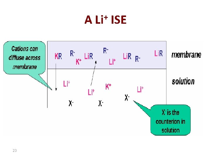 A Li+ ISE 23 