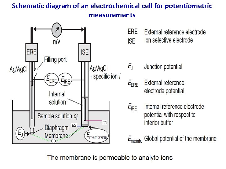 Schematic diagram of an electrochemical cell for potentiometric measurements 6 