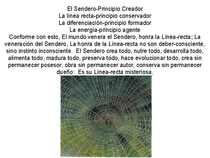 El Sendero-Principio Creador La línea recta-principio conservador La diferenciación-principio formador La energía-principio agente Conforme