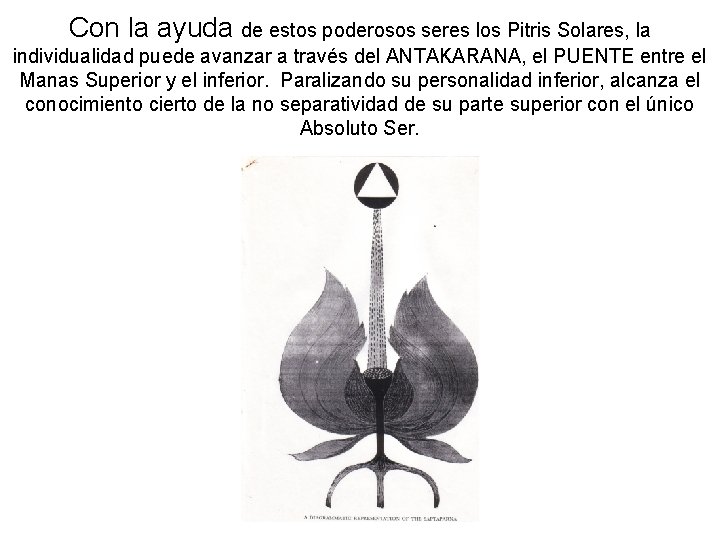 Con la ayuda de estos poderosos seres los Pitris Solares, la individualidad puede avanzar