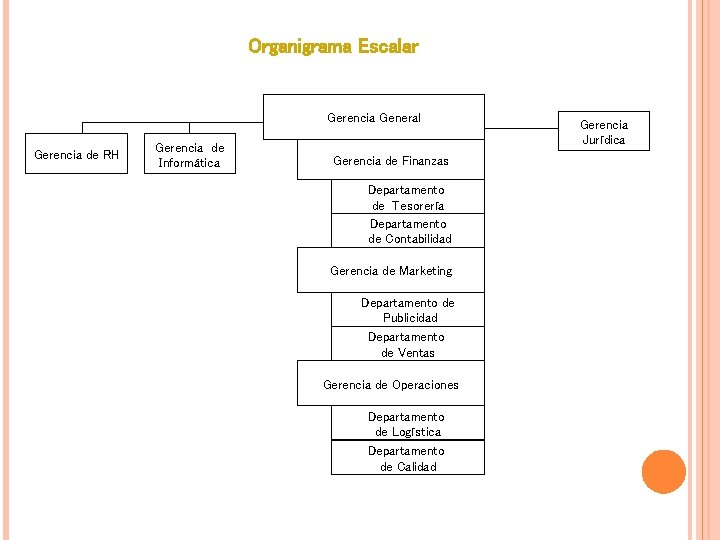 Organigrama Escalar Gerencia General Gerencia de RH Gerencia de Informática Gerencia de Finanzas Departamento Organigrama Escalar Gerencia General Gerencia de RH Gerencia de Informática Gerencia de Finanzas Departamento