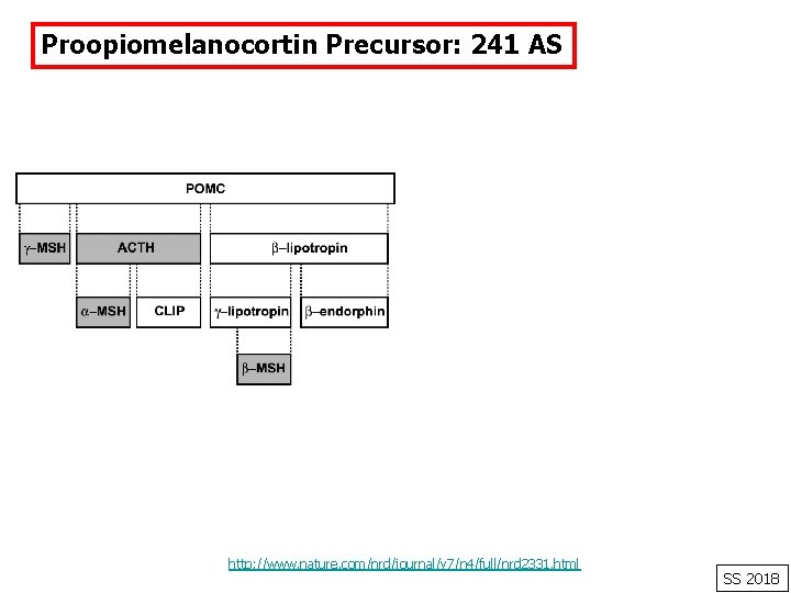 Proopiomelanocortin Precursor: 241 AS http: //www. nature. com/nrd/journal/v 7/n 4/full/nrd 2331. html SS 2018