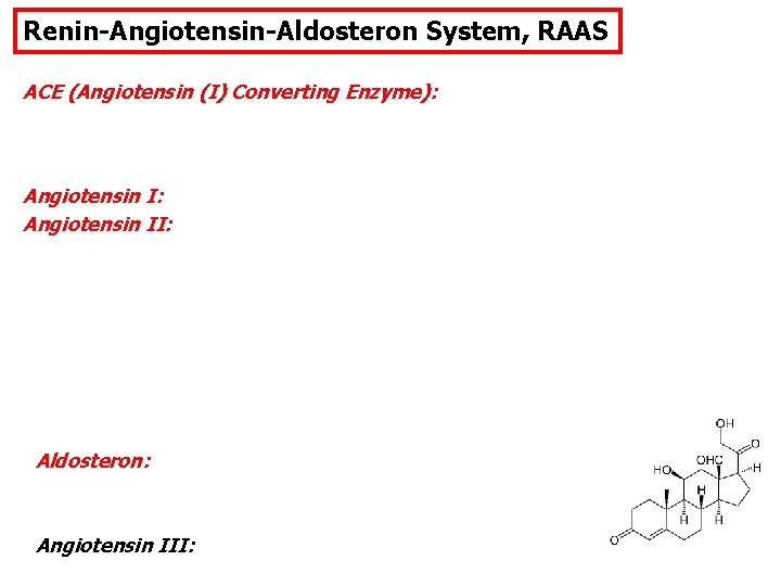 Renin-Angiotensin-Aldosteron System, RAAS ACE (Angiotensin (I) Converting Enzyme): Angiotensin I: Angiotensin II: Aldosteron: Angiotensin