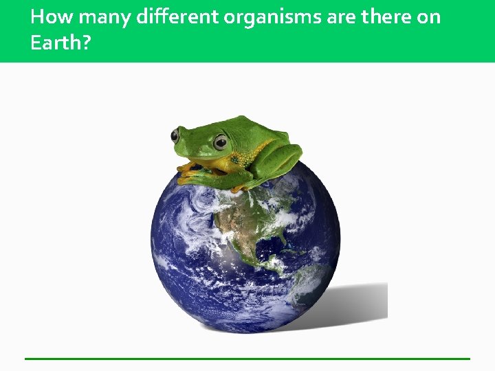 How many different organisms are there on Earth? 