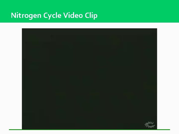 Nitrogen Cycle Video Clip 