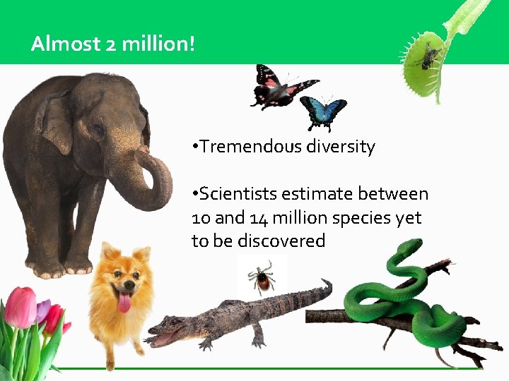 Almost 2 million! • Tremendous diversity • Scientists estimate between 10 and 14 million