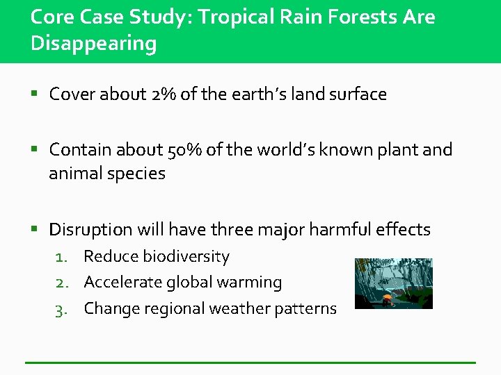 Core Case Study: Tropical Rain Forests Are Disappearing § Cover about 2% of the