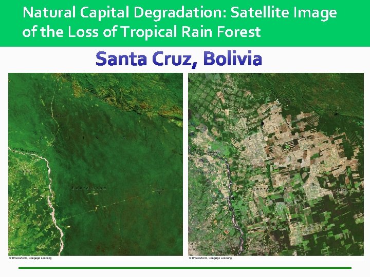 Natural Capital Degradation: Satellite Image of the Loss of Tropical Rain Forest Santa Cruz,