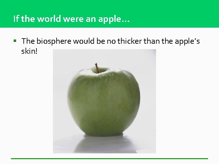 If the world were an apple… § The biosphere would be no thicker than