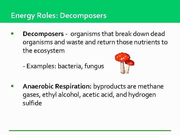 Energy Roles: Decomposers § Decomposers - organisms that break down dead organisms and waste