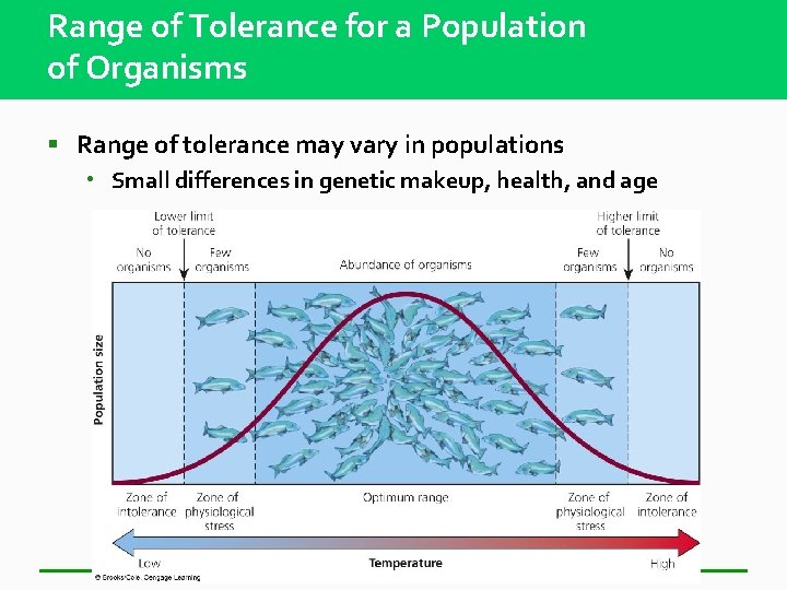 Range of Tolerance for a Population of Organisms § Range of tolerance may vary