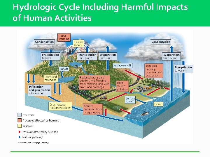 Hydrologic Cycle Including Harmful Impacts of Human Activities 