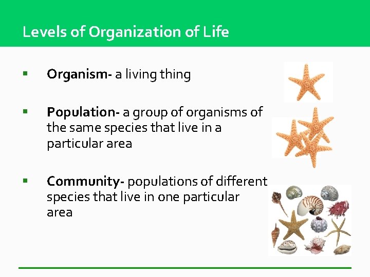 Levels of Organization of Life § Organism- a living thing § Population- a group