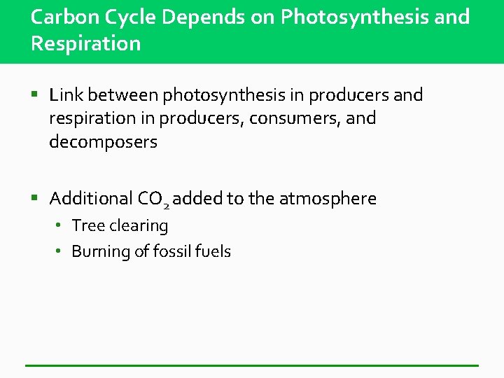 Carbon Cycle Depends on Photosynthesis and Respiration § Link between photosynthesis in producers and